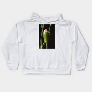 Pink Carnation Bud Closeup Kids Hoodie